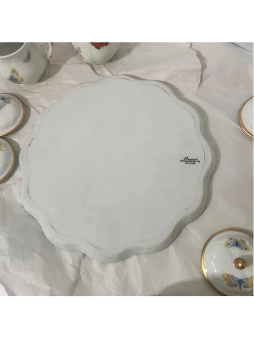 Haviland Limoges elevate your